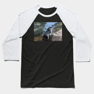 Little Blue Penguin Baseball T-Shirt